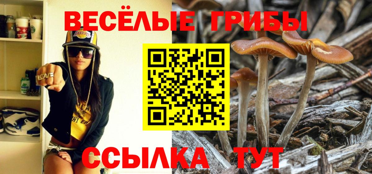 Кыштым  купить наркоту  Вход с VPN  Псилоцибиновые грибы ЛСД 